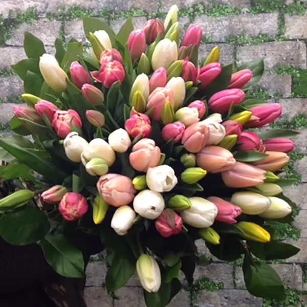 Bouquet de tulipes mélangés