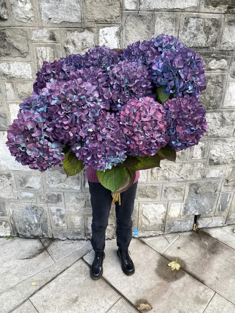 Femme hortensia