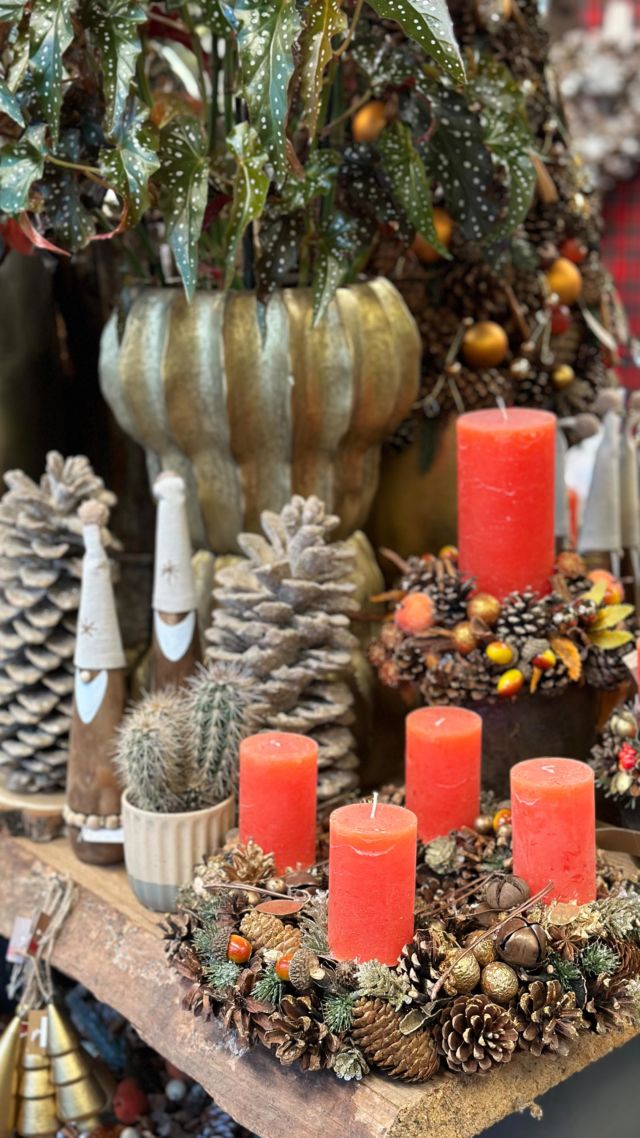 Noël est arrivé chez Coté fleurs, venez découvrir nos différentes ambiances féeriques pour décorer vos jolis intérieurs pour les fêtes #christmasdecor #christmastime #genevawinter