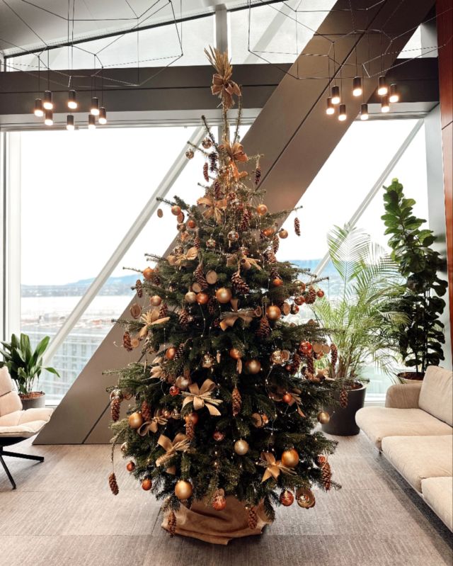 En route pour Noël 🎄 #christmastree #geneve